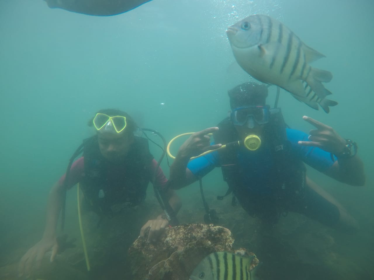 Scuba Malvan
